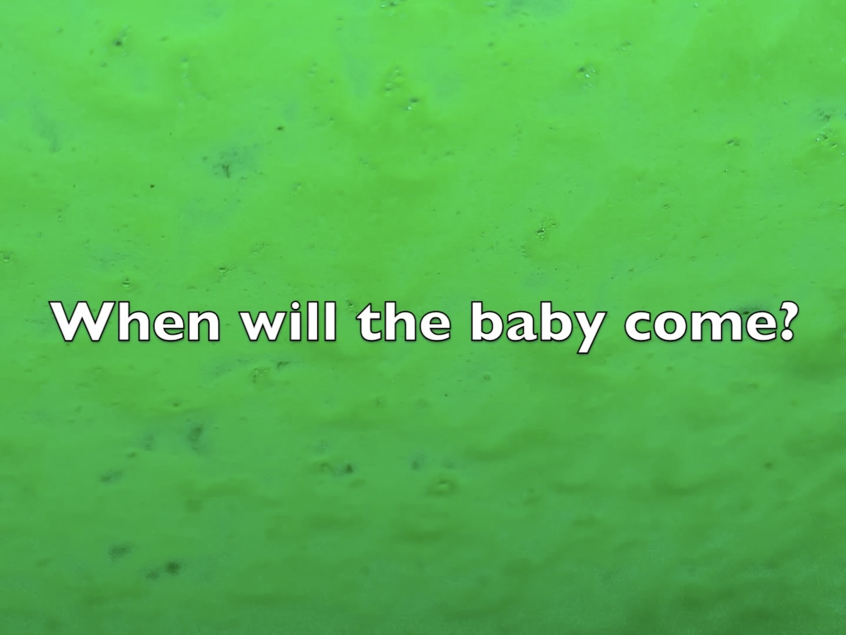 Wash Wash: Video Wash Wash: a car moves through a carwash as questions posed by the
                        artist's peers appear on screen.